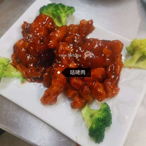 Sweet & Sour Pork 咕咾肉